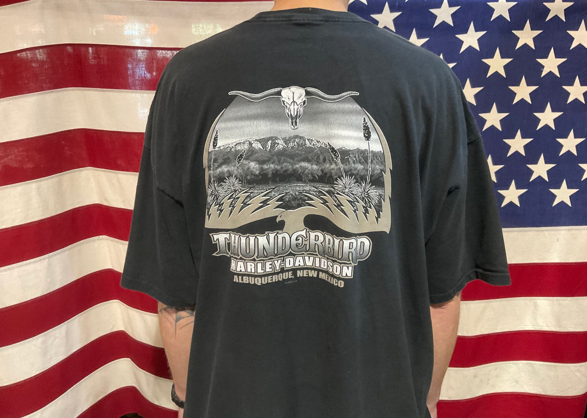 り*、様 Harley Davidson THUNDERBIRD tシャツ Harley Davidson Vintage Mens T-Shirt Print Year 2006 Albuquerque