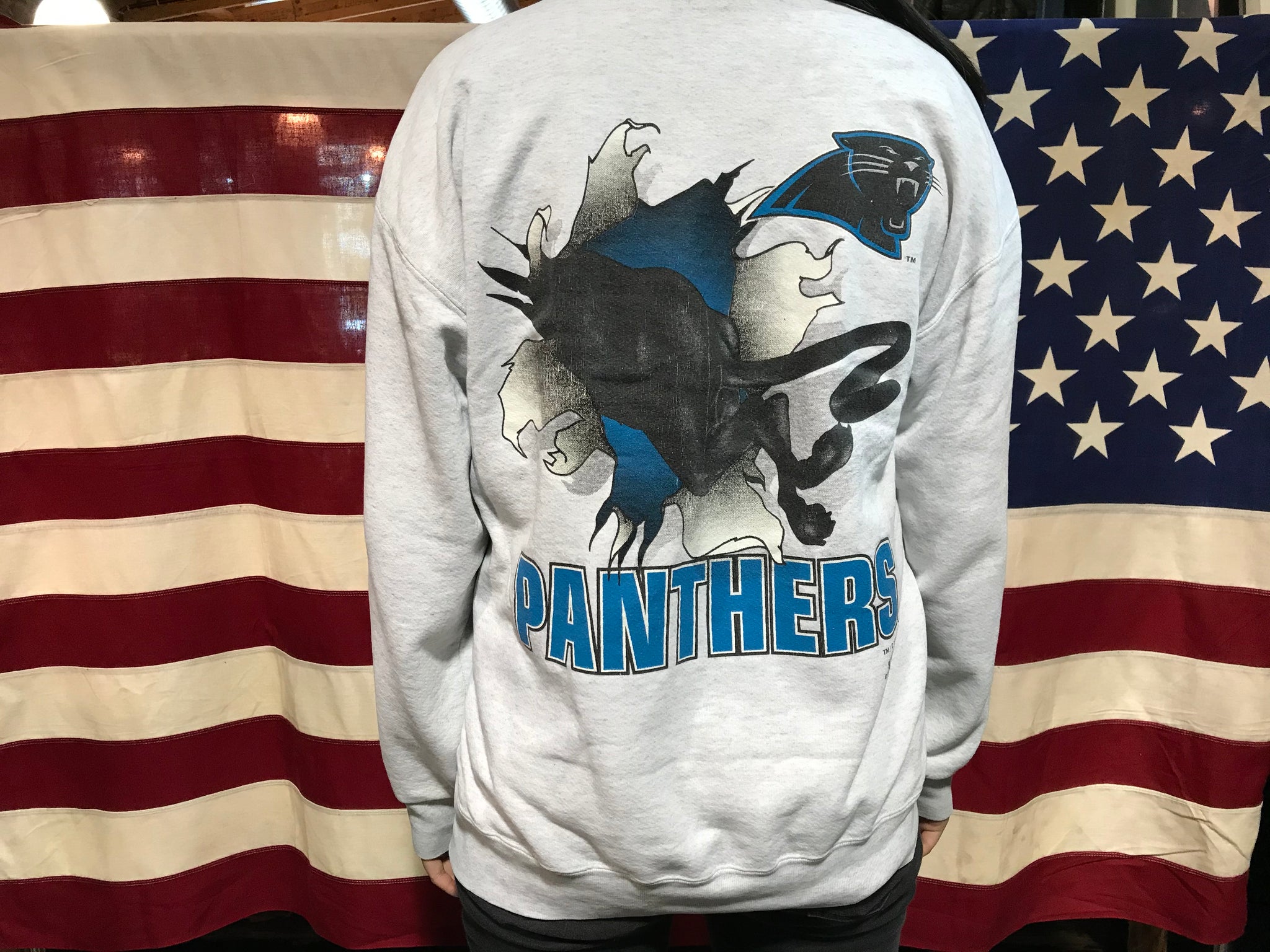 Carolina Panthers NFL 1993 Vintage Crew Sporting Sweat by Nutmeg Mills®️Made in USA