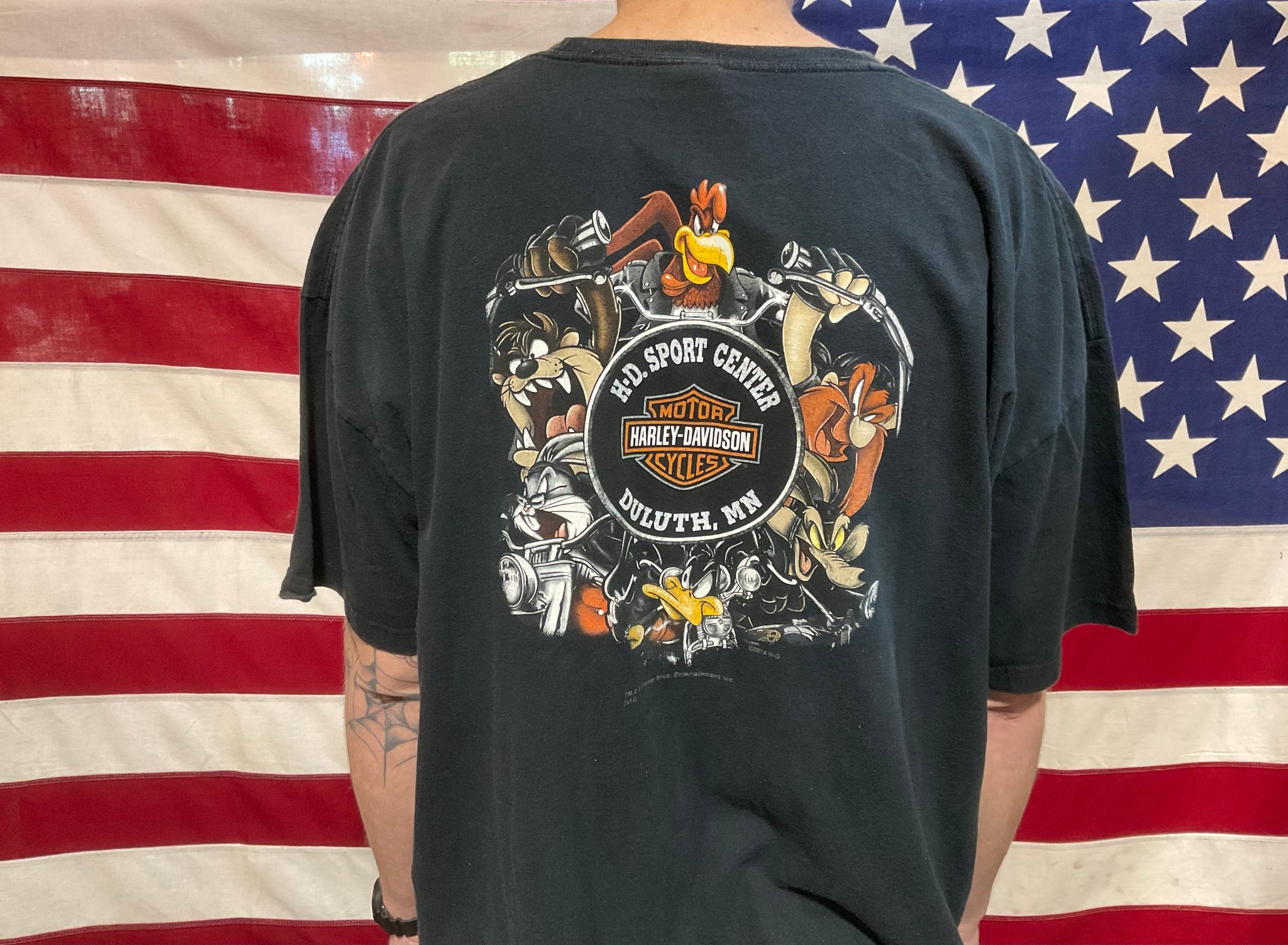 Harley Davidson & ™️©️Warner Bros.Ent. Inc. Vintage Mens T-Shirt Print Year 2014 Duluth, MN.